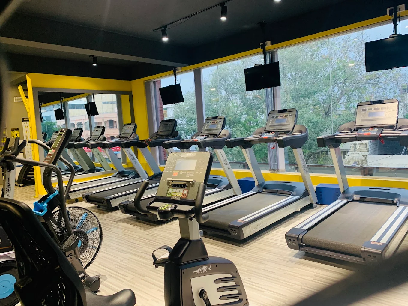 Goldkraft Gym Interior 1